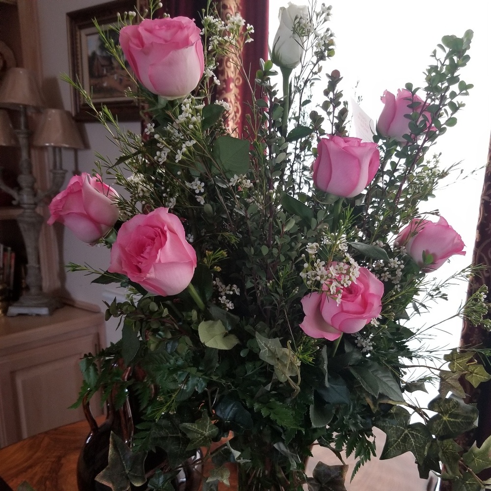 Meet your Posher, Kina